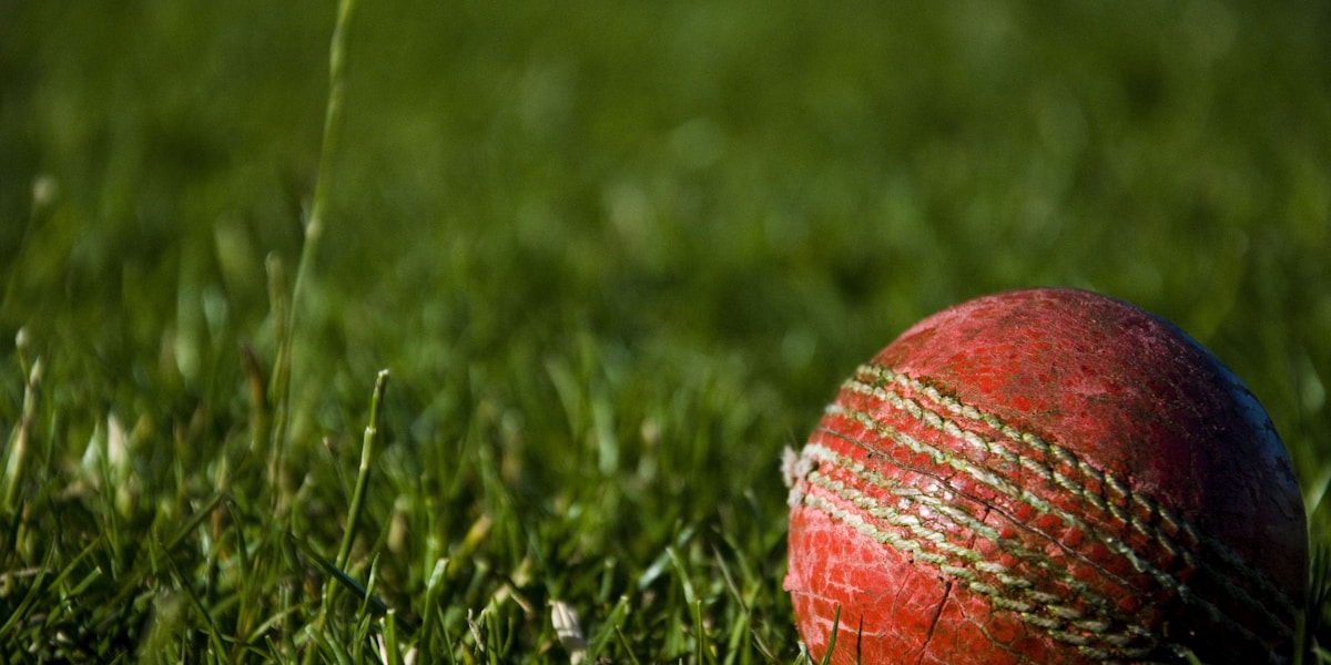 T20 World Cup 2026 cricket stadium with packed crowd